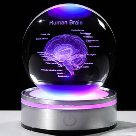3D Human Brain 3.15 in. Crystal Ball Gifts for Him Her, Human Brain Anatomical Mini Model with Colorful Light Base for Neurologist Doctor Pharmacist, Physiology Graduation Gifts for Medical Students