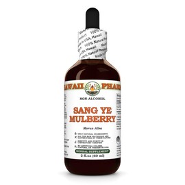 Sang Ye Mulberry (Morus Alba) Dry Leaf Glycerite, Made in Hawaii, All Natural, Vegan, Lab Tested Alcohol-Free Liquid Extract - 2 fl.oz