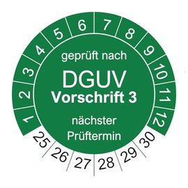 200 Test Badges for DGUV V3 Regulation 3 - Diameter 30 mm - 2025-2030 - Sustainable - Green - 2024 Next Exam (Pack of 200, Green)