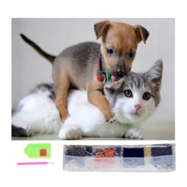 SusggO Diamond Painting, Diamond Painting Set 30 cm x 40 cm Diamond Painting Kit Complete Accessories DIY 5D Picture Cross Stitch Embroidery Crafts Decoration Home Wall (Cat Dog)