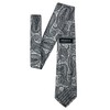 RETREEZ Paisley Art Microfiber Woven Men's Tie Necktie - Many