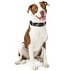 ONEFOJOJO Martingale Collar for Large Dogs Reflective Nylon Dog Collar