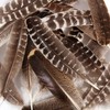 THARAHT 24pcs Natural Wild Turkey Wing Feathers Quill Bulk 10-12inch
