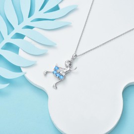 PARYFO Ice Skating Necklace for Daughter Women,925 Sterling Silver Figure Skating Sports Lovers Birthday Christmas Gifts for Sister Daughter and Niece