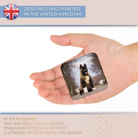 Destination Vinyl ltd Fridge Magnet - Large American Akita Puppy Dog 15711