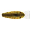 Livingston 072010209 Señuelo de Pesca DM Jr True Bream