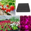 LED Grow Light Full Spectrum High Efficiency Luminous Plant Growing
