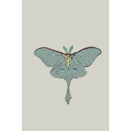 Luna Moth Journal: 200 Blank Page Journal