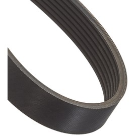 Japko 7PK1645 Timing Belt