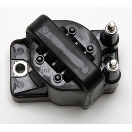 Delphi GN10123 Bobina de encendido