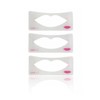 3 Pcs Lip Liner Stencils Lip Painting Template Women Lip