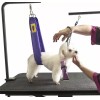Grooming Safety by Jessica The Tool Saver for Clippers