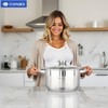 Daniks Standard Stainless Steel Stock Pot with Glass Lid –