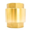 Check Valve Brass Return Valve Internal Thread Valve Water Check