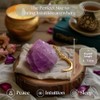 Anima Amethyst Crystal - Large 4-5cm Deep Purple Natural Raw