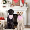 QUQULE Dog Bandana Girl Large 2PCS, Pink Blue Spring Scarf,