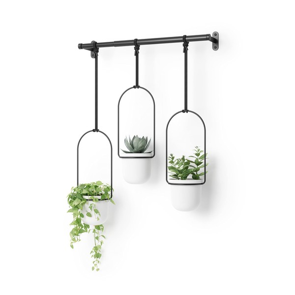 Umbra Triflora Hanging Planter for Window, Indoor Herb Garden, White/Black, Triple