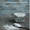 120 Diatomaceous Earth & Activated Charcoal Capsules - 1000 mg