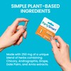 Himalaya Himalaya PartySmart, 10 Vegetarian Capsules, Provides Antioxidants, Non-GMO, Plant-based,