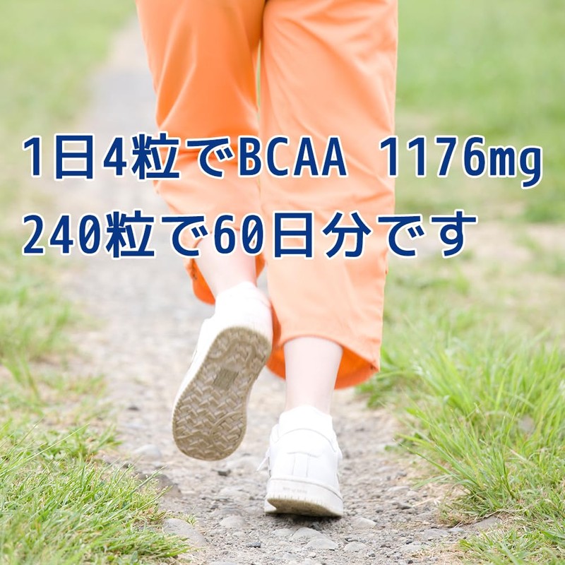 ボディウイング BCAAタブレット 国内製造 240粒(60回分)