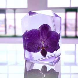 Eternal Flower Orchid Baby | Resin Crafts | Orchid Keiki | Preserved Natural Flower in Resin | Resin Art Figurines | Preserved Flowers | Resin Souvenir | Gem Orchid | Resin Paperweight (Purple)