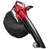 GARDEN LEAF VACUUM COLLECTION BAG compatible with Einhell GE-CL 36