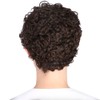 Short Curly Wavy Wigs Women Female Synthetic Hair Brown Wigs