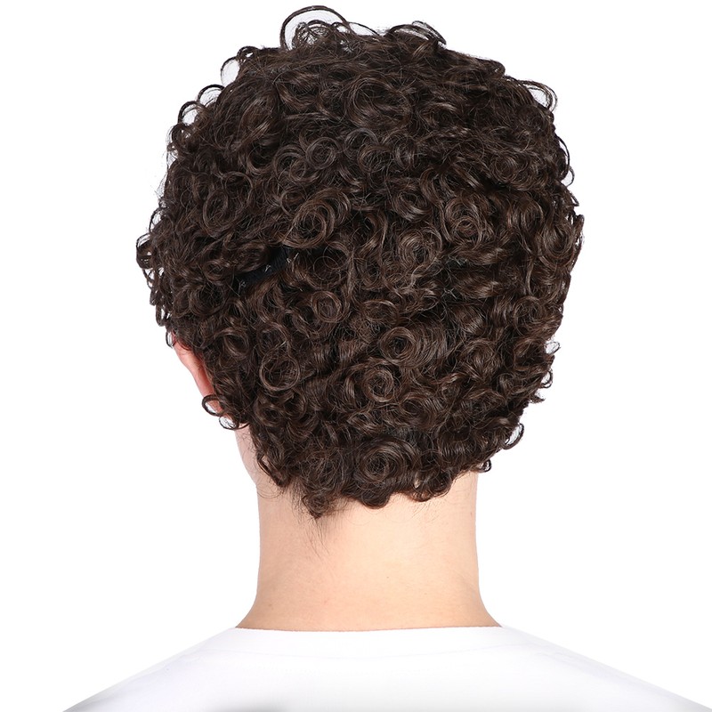 Short Curly Wavy Wigs Women Female Synthetic Hair Brown Wigs