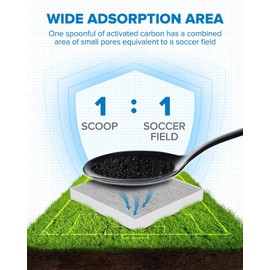 PHILTOP Cabin Air Filter, Pack of 2 Replacement for CF10134, CP134, BE-134, Accord, Civic, Odyssey, CR-V, Pilot, MDX, TSX, Ridgeline, RDX, Includes Activated Carbon