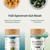 Gut Health Bundle - Snap Supplements - Gut Health +