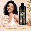 Black Hair Dye Shampoo 3 in 1, Shampoo Tinte Cubre