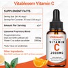 Liposomal Vitamin C Liquid 2000 mg, 2 Bottles, High Dose