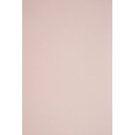 Netuno 25 x Coloured Cardboard, Pale Pink, DIN A4, 210 x 297 mm, 290 g, Sirio Colour Nude Craft Cardboard, Coloured Photo Cardboard, A4, Colourful Cardboard, Wedding, Christening, Christmas, Birthday,