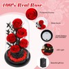 DHOEM Preserved Forever Roses in Glass Dome,Birthday Flower Gift for