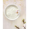 Sugar-Free Sweetening Vanilla Powder | Vanilla Sugar Alternative | Multipurpose,