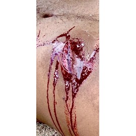 Monster Blood Silicone Modeling Compound for SFX Dark Skin Tone 4.5 oz Kit.