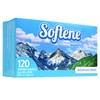 Softene Mountain Fresh Dryer Sheets 120ct