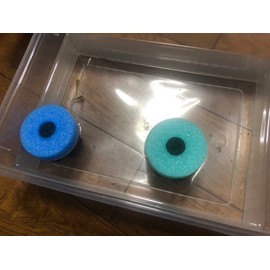 [Japanese Brand] HIMARISUN Eggs Can Be Removed, Jagged Legs Spawning Floor, 8 Pieces (Red) Medaka Eggs Tangled Easily, Spawning Area Increased