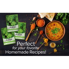 Cilantro Seeds for Planting Heirloom Non-GMO Herb Coriander Plant Seeds for Home Herb Garden Vegetables Makes a Great Gift for Gardening by Gardeners Basics