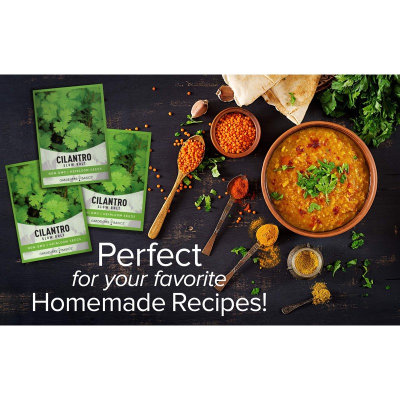 Cilantro Seeds for Planting Heirloom Non-GMO Herb Coriander Plant Seeds
