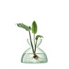 LSA Flower Base, Clear, W8.3 x D8.3 x H7.1 inches