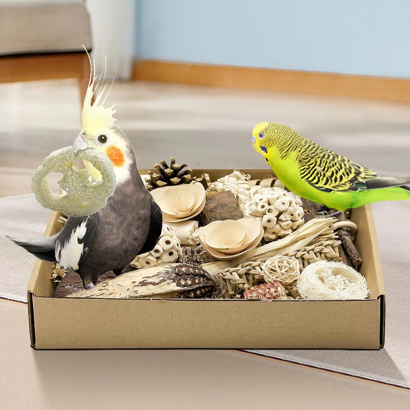 LOPERDEVE Natural Bird Toy Foraging Parrot Shredding Toys Box Conure