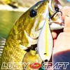 LUCKY CRAFT LV-150 ~Lucky Vibration ~ Fishing Lure Lipless Crankbait
