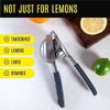Stainless Steel Lemon Squeezer Press - No Seeds, Pro-Grade, Effortlessly