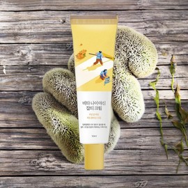 Round Wrap Skin Protection Facial Cream Vita Niacin Blemish Cream 1ea 50ml / 라운드랩 피부보호 페이셜크림 비타 나이아신 잡티 크림 1개 50ml