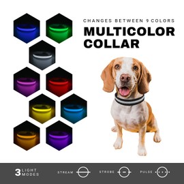 ZAPRIX LED Dog Collar - Bright Premium Weatherproof Light Up Collar for Pet Safety, USB C Rechargeable & Adjustable for Small, Medium & Large Dogs (Pink, Small)