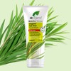 Dr Organic, Organic Tea Tree Face Wash , Natural ,