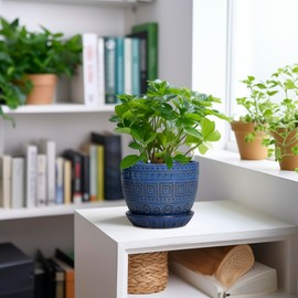 G EPGardening Plant Pots Indoor 5 Inch - Ceramic Pot for Plants with Drainage Hole and Saucer Round Planter Outdoor Modern Flower Pot Home Office Decor Blue