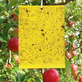 Yellow Sticky Traps -20 Packs for Flying Plant Insects, Fungus Gnats, Aphids, Whiteflies, Leafminers - 6x8 Inches (Contains 20 Traps 20 Wire,5 plastic holder)