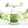 A Healthy Solutions Kidney Protector 07 - Natural Protector of